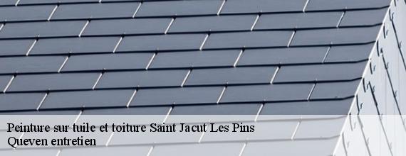 Peinture sur tuile et toiture  saint-jacut-les-pins-56220 Queven entretien