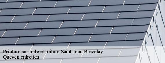 Peinture sur tuile et toiture  saint-jean-brevelay-56660 Queven entretien