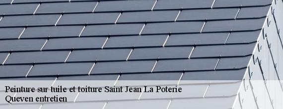 Peinture sur tuile et toiture  saint-jean-la-poterie-56350 Queven entretien
