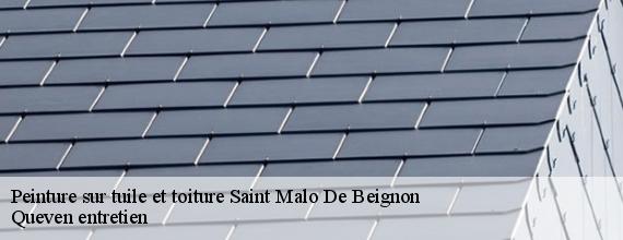 Peinture sur tuile et toiture  saint-malo-de-beignon-56380 Queven entretien