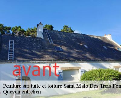 Peinture sur tuile et toiture-4