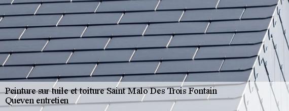 Peinture sur tuile et toiture  saint-malo-des-trois-fontain-56490 Queven entretien