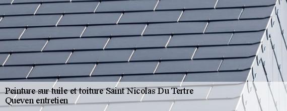 Peinture sur tuile et toiture  saint-nicolas-du-tertre-56910 Queven entretien