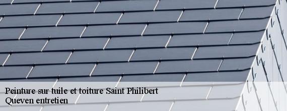 Peinture sur tuile et toiture  saint-philibert-56470 Queven entretien