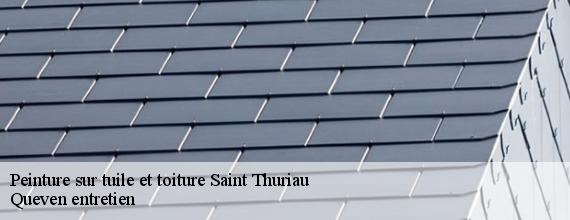 Peinture sur tuile et toiture  saint-thuriau-56300 Queven entretien