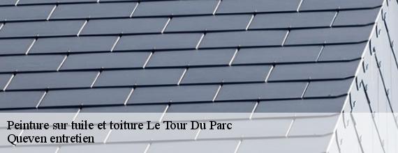 Peinture sur tuile et toiture  le-tour-du-parc-56370 Queven entretien