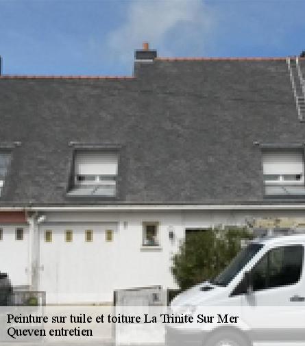Peinture sur tuile et toiture-1