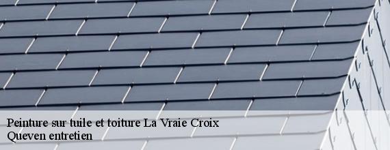 Peinture sur tuile et toiture  la-vraie-croix-56250 Queven entretien