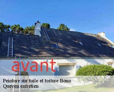 Peinture sur tuile et toiture-4