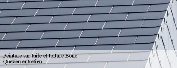 Peinture sur tuile et toiture  bono-56400 Queven entretien