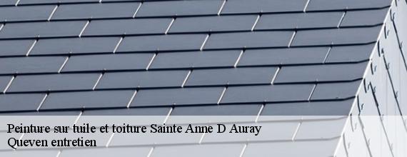 Peinture sur tuile et toiture  sainte-anne-d-auray-56400 Queven entretien