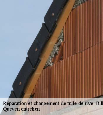Réparation et changement de tuile de rive   billio-56420 Queven entretien