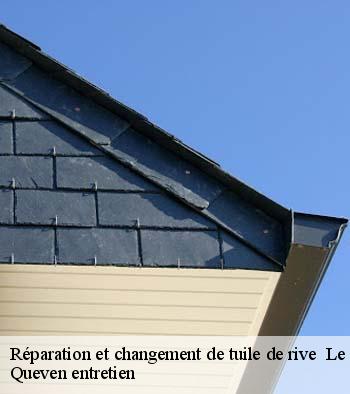 Réparation et changement de tuile de rive   le-faouet-56320 Queven entretien