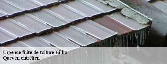 Urgence fuite de toiture  billio-56420 Queven entretien