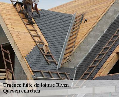 Urgence fuite de toiture-4