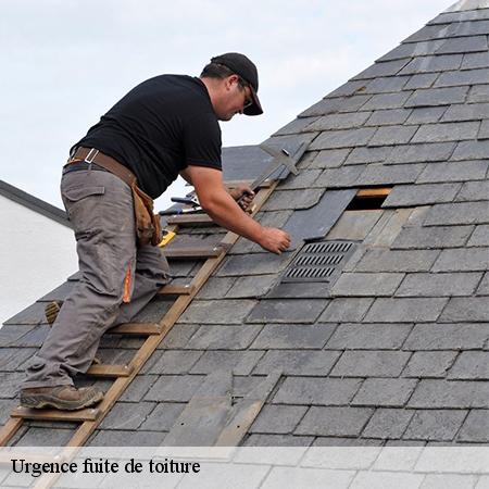 Urgence fuite de toiture-3