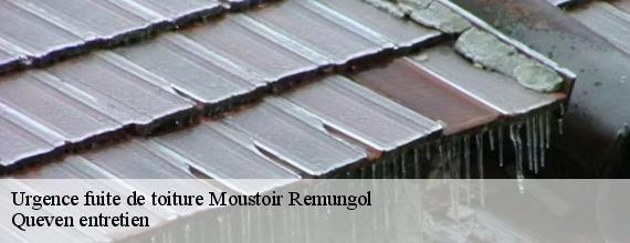 Urgence fuite de toiture  moustoir-remungol-56500 Queven entretien