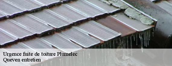 Urgence fuite de toiture  plumelec-56420 Queven entretien