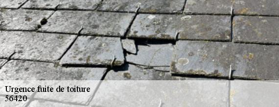 Urgence fuite de toiture  plumelec-56420 Queven entretien