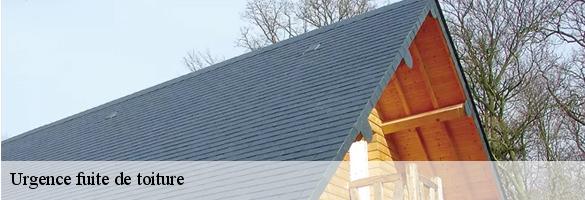 Urgence fuite de toiture-6