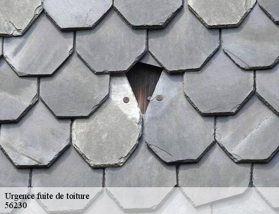 Urgence fuite de toiture  questembert-56230 Queven entretien