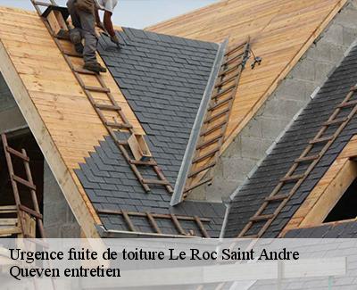 Urgence fuite de toiture-4