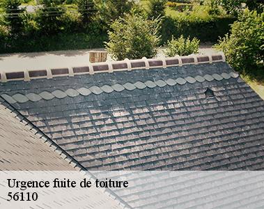 Urgence fuite de toiture-2