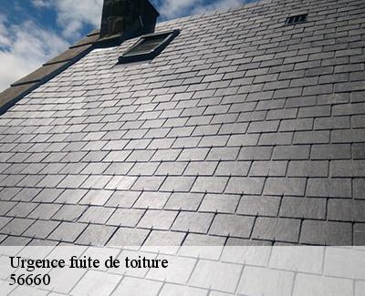 Urgence fuite de toiture-5