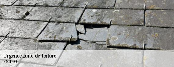 Urgence fuite de toiture  surzur-56450 Queven entretien