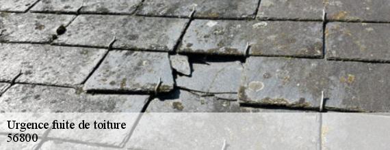 Urgence fuite de toiture  taupont-56800 Queven entretien
