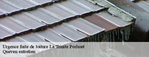 Urgence fuite de toiture  la-trinite-porhoet-56710 Queven entretien