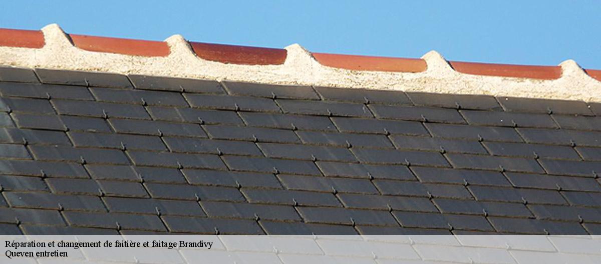 Réparation et changement de faitière et faitage-7