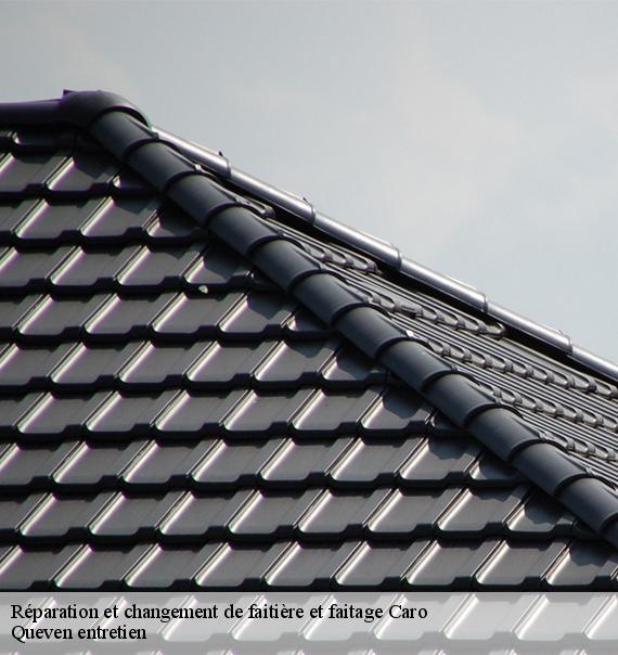 Réparation et changement de faitière et faitage-10