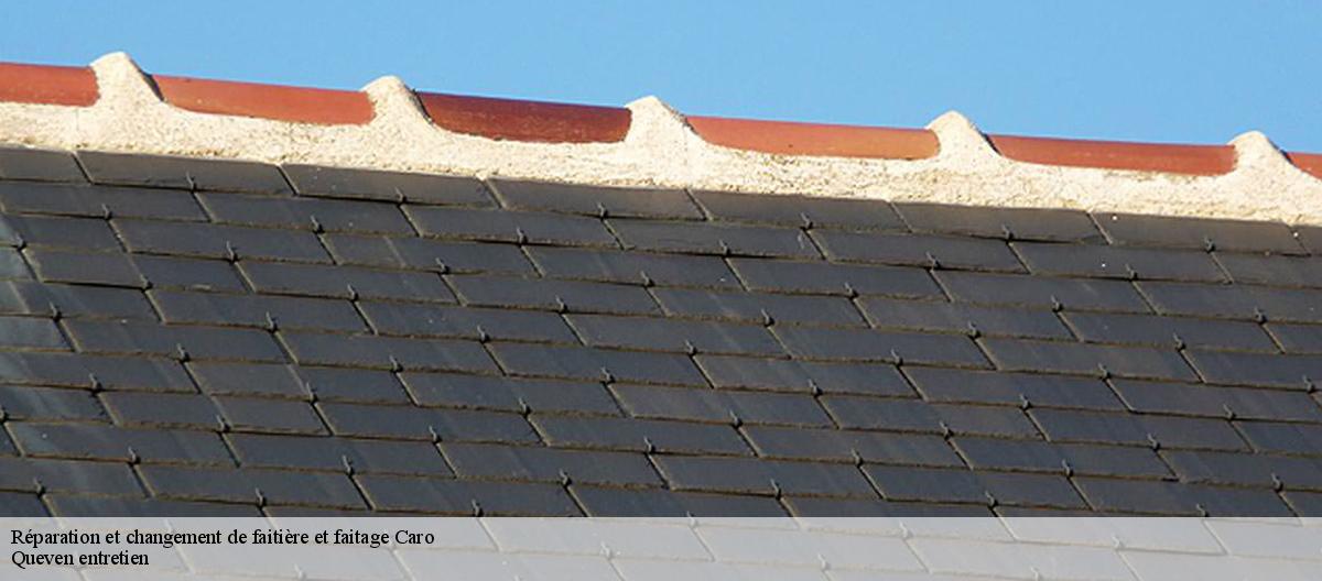 Réparation et changement de faitière et faitage-7