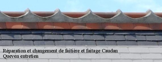 Réparation et changement de faitière et faitage  caudan-56850 Queven entretien