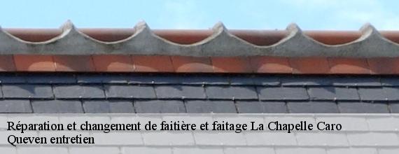 Réparation et changement de faitière et faitage  la-chapelle-caro-56460 Queven entretien