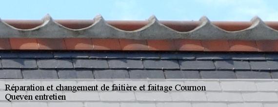 Réparation et changement de faitière et faitage  cournon-56200 Queven entretien