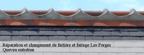 Réparation et changement de faitière et faitage  les-forges-56120 Queven entretien