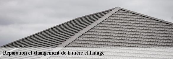 Réparation et changement de faitière et faitage-6