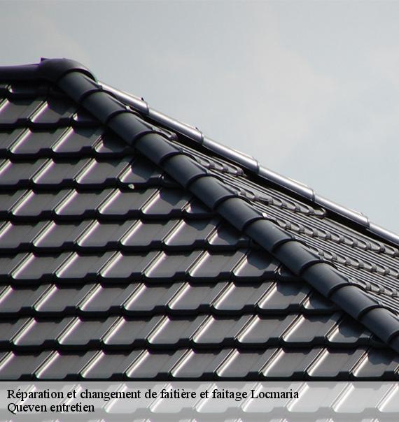 Réparation et changement de faitière et faitage-10