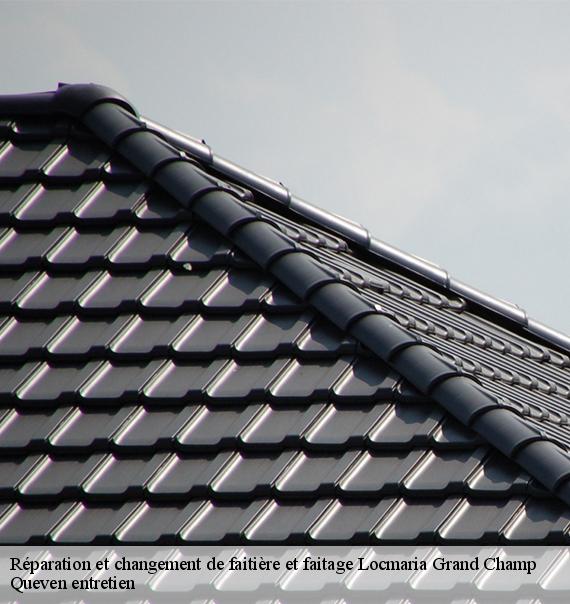 Réparation et changement de faitière et faitage-10