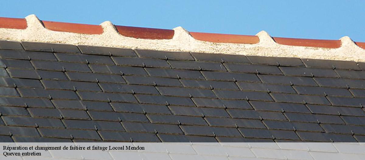 Réparation et changement de faitière et faitage-7