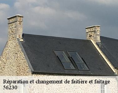 Réparation et changement de faitière et faitage-2