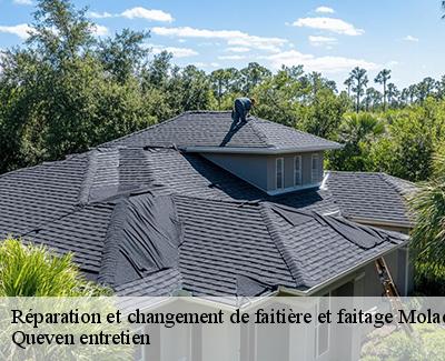 Réparation et changement de faitière et faitage-4