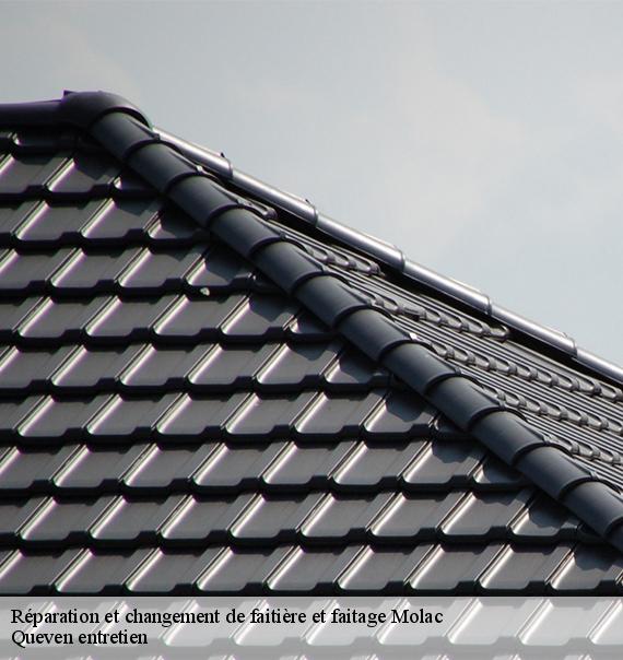Réparation et changement de faitière et faitage-10