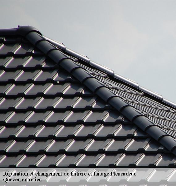 Réparation et changement de faitière et faitage-10