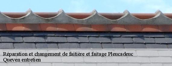 Réparation et changement de faitière et faitage  pleucadeuc-56140 Queven entretien