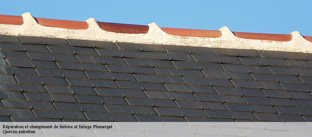 Réparation et changement de faitière et faitage-7