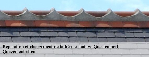 Réparation et changement de faitière et faitage  questembert-56230 Queven entretien