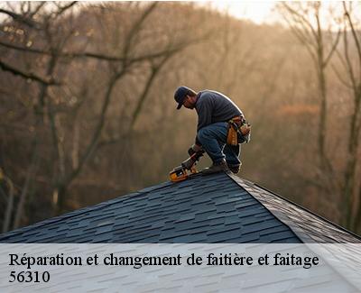 Réparation et changement de faitière et faitage-5